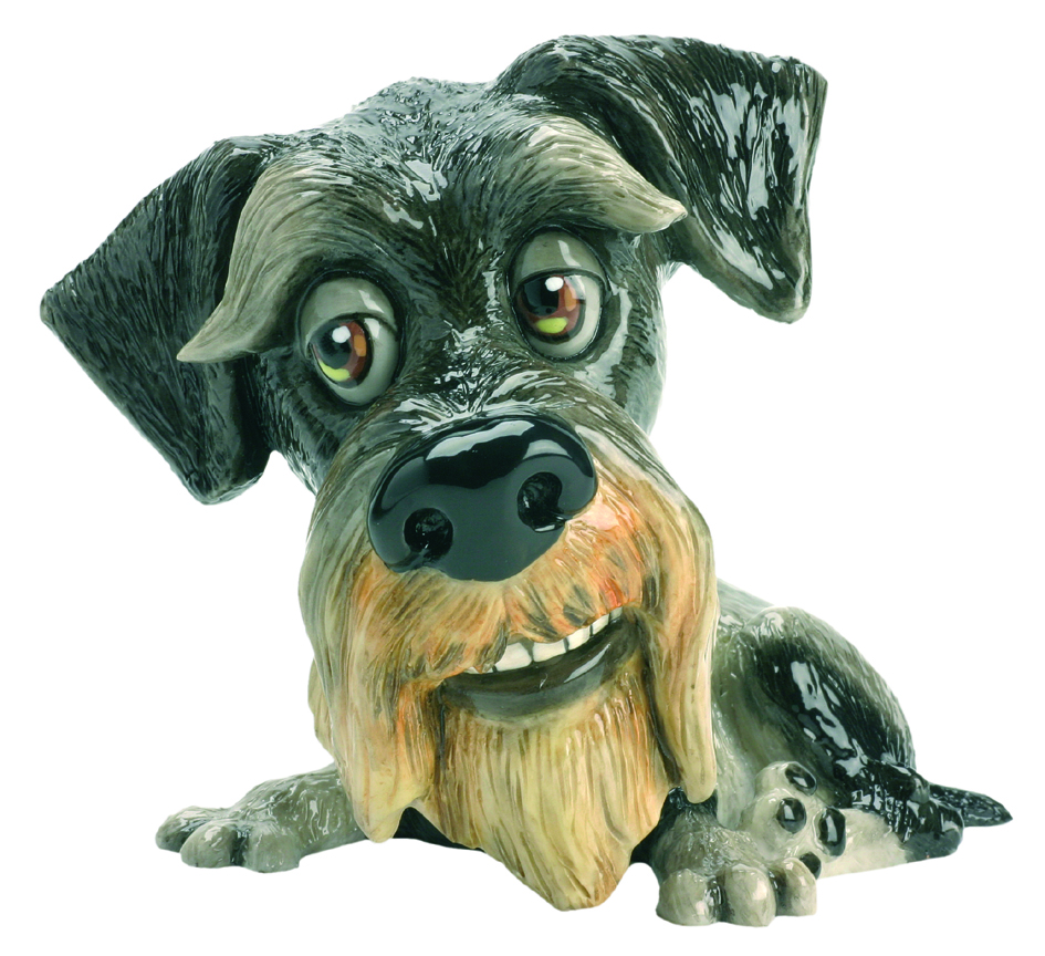 Thumbnail for 322LP Little Paws Zac Schnauzer is groomed from head to toe. Eyeborws an beard clipped just so.